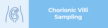 Chorionic Villi Sampling