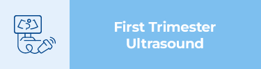 First Trimester Ultrasound